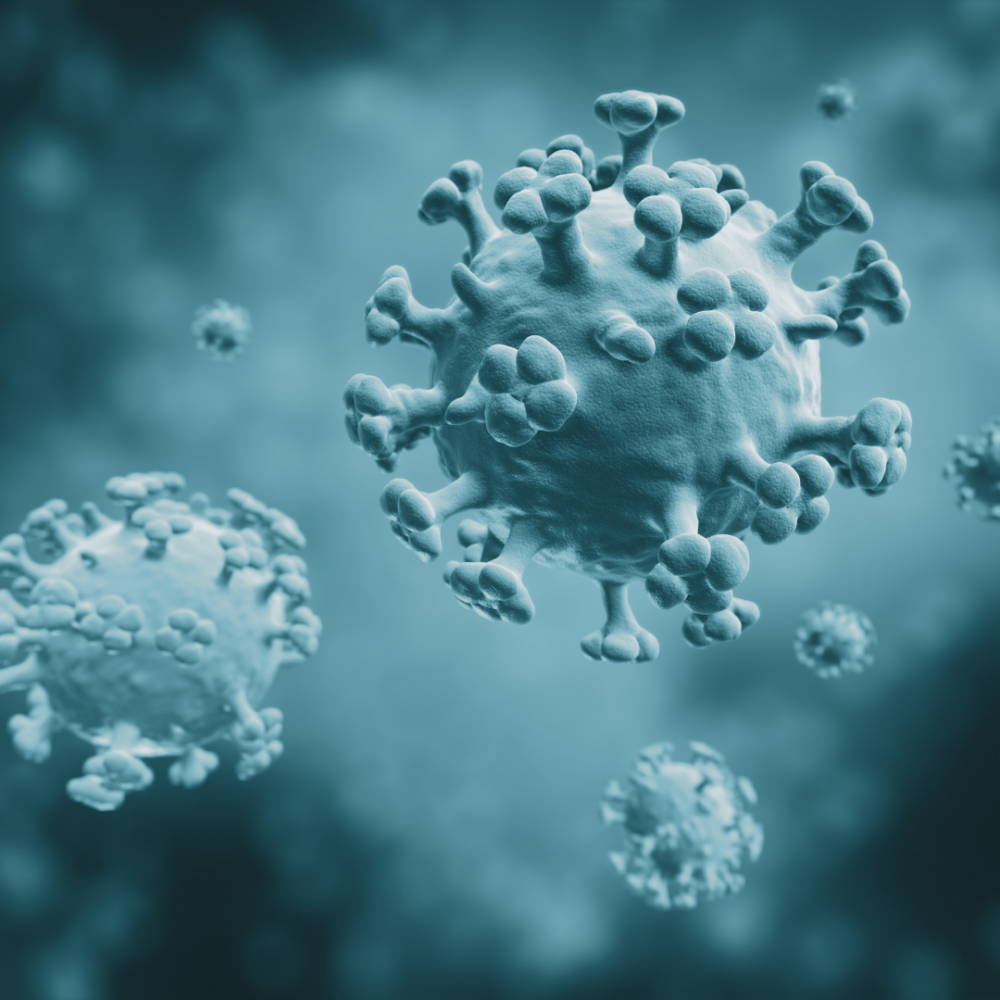 Gripe K (H3N2): o que o médico precisa saber sobre a variante que acendeu alerta da OMS